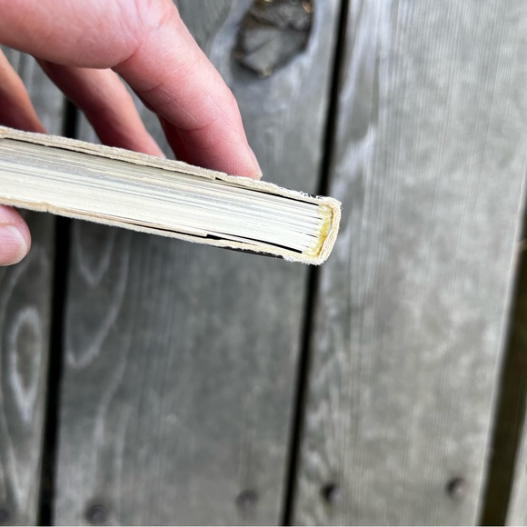 Van Eyck Paperback Book By Albert Châtelet Vintage 1979 First Edition - Picture 11 of 16